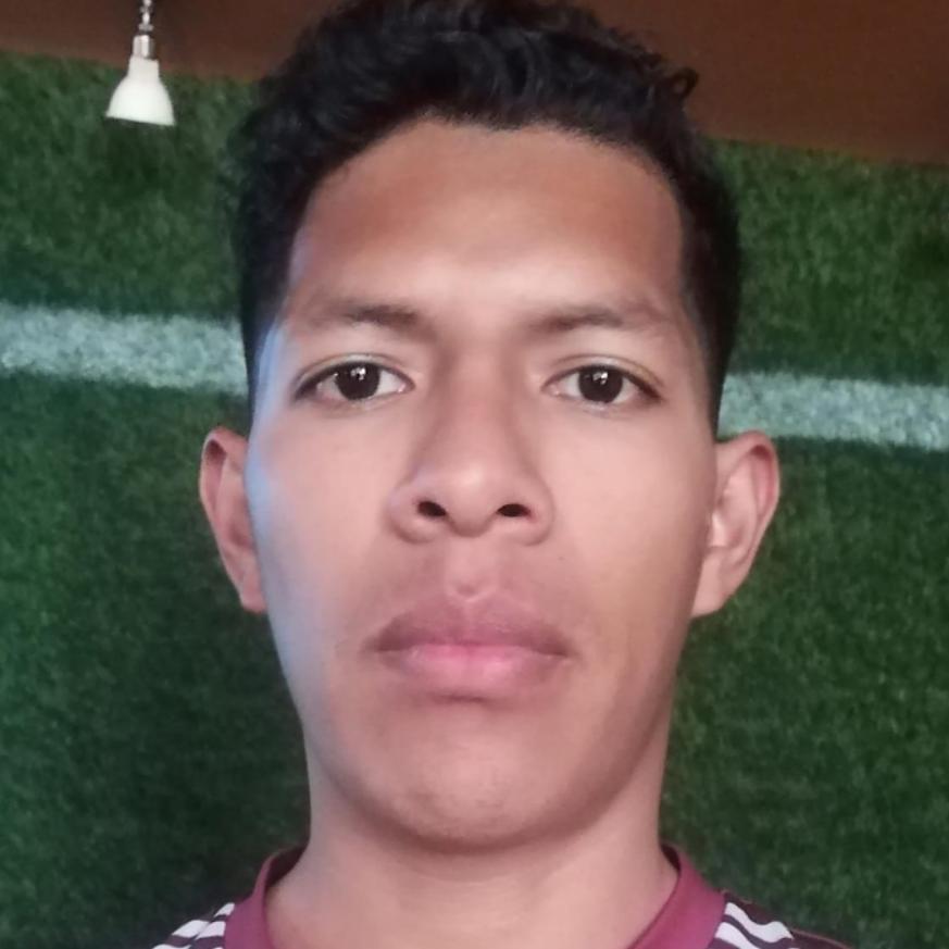 User Image
